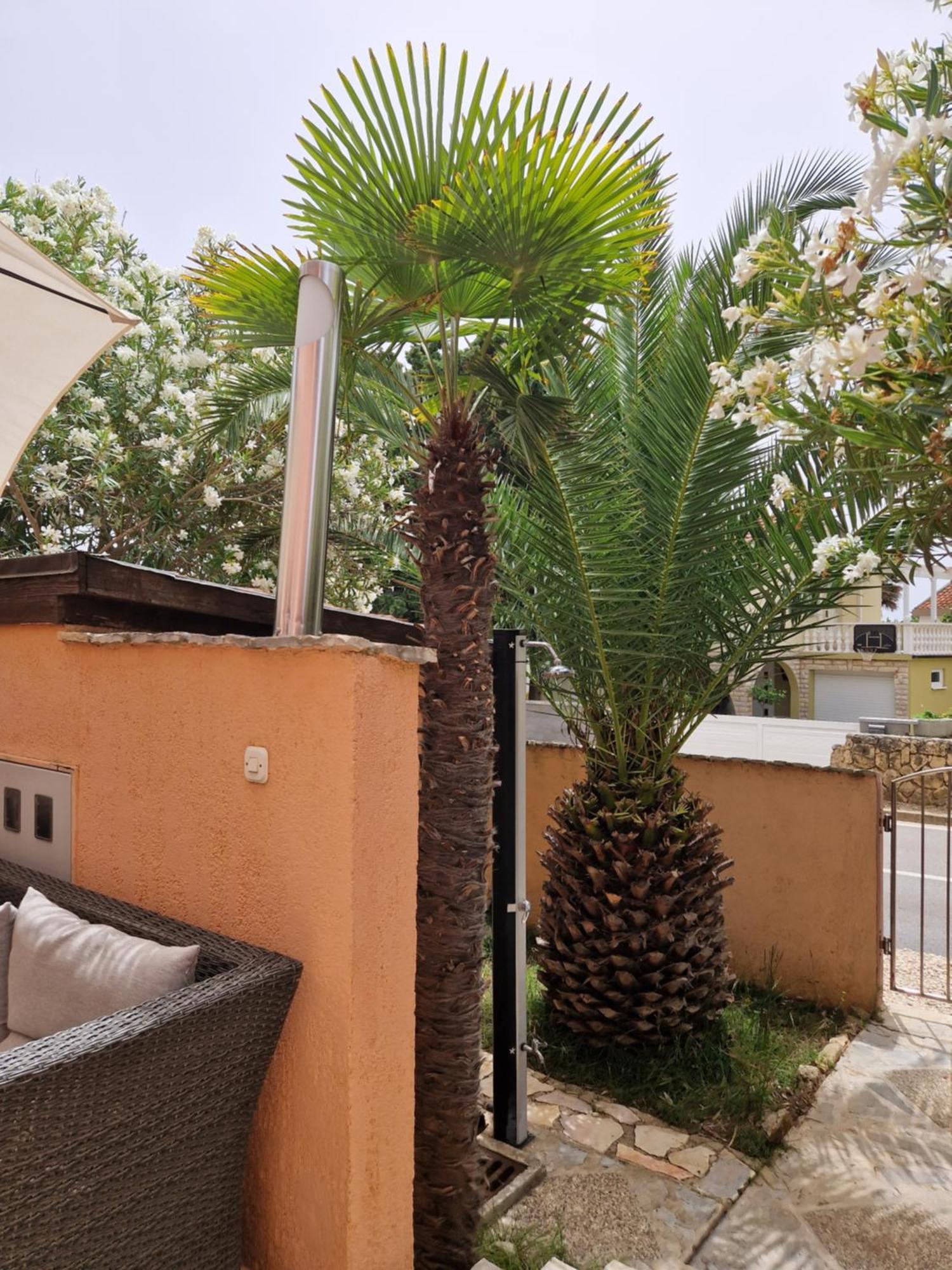 Aurelia Apartments, Vir Oda fotoğraf
