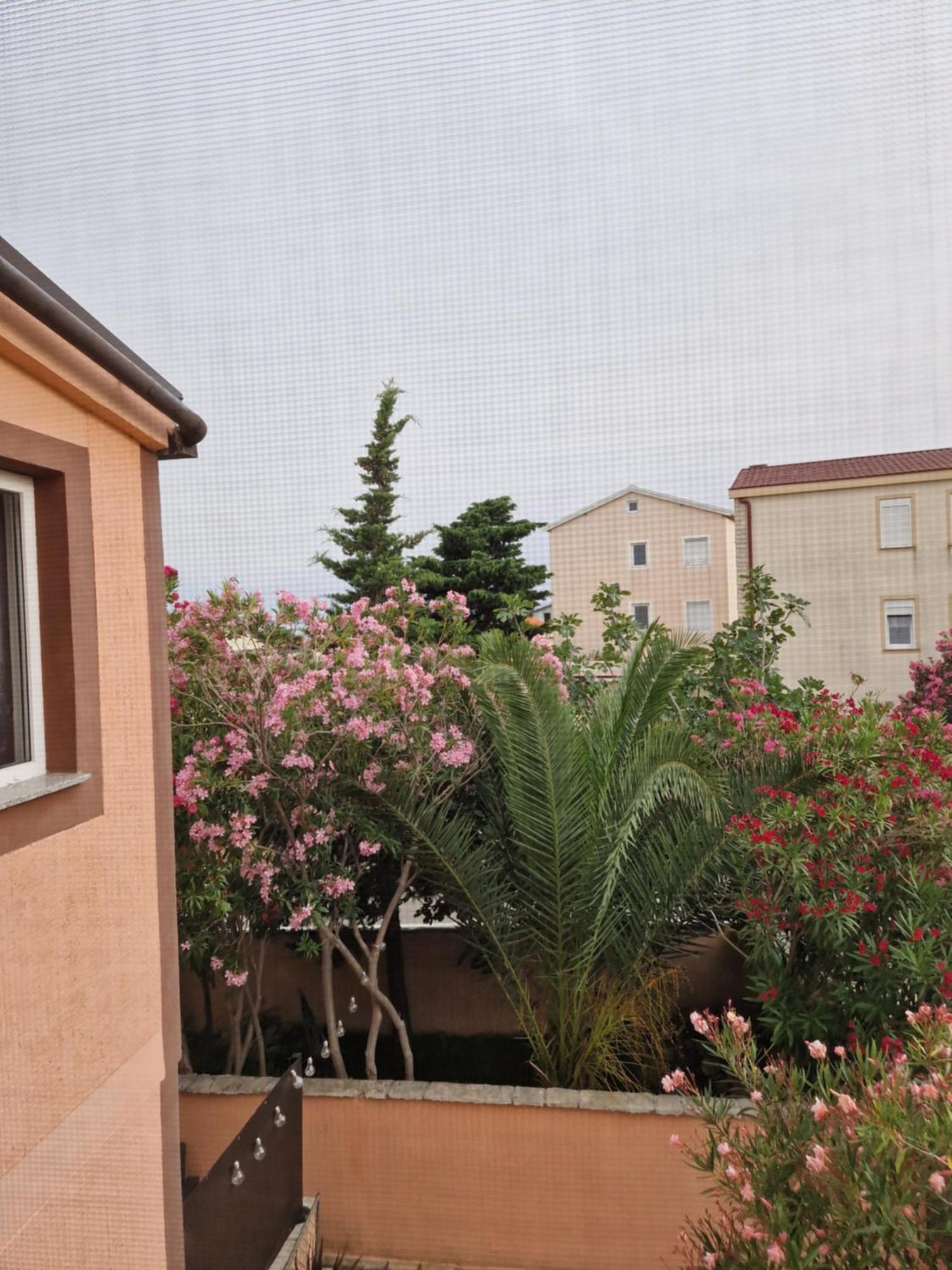 Aurelia Apartments, Vir Dış mekan fotoğraf